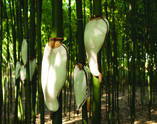22 Bambusen, Gips, Perlonstrumpf, 2011